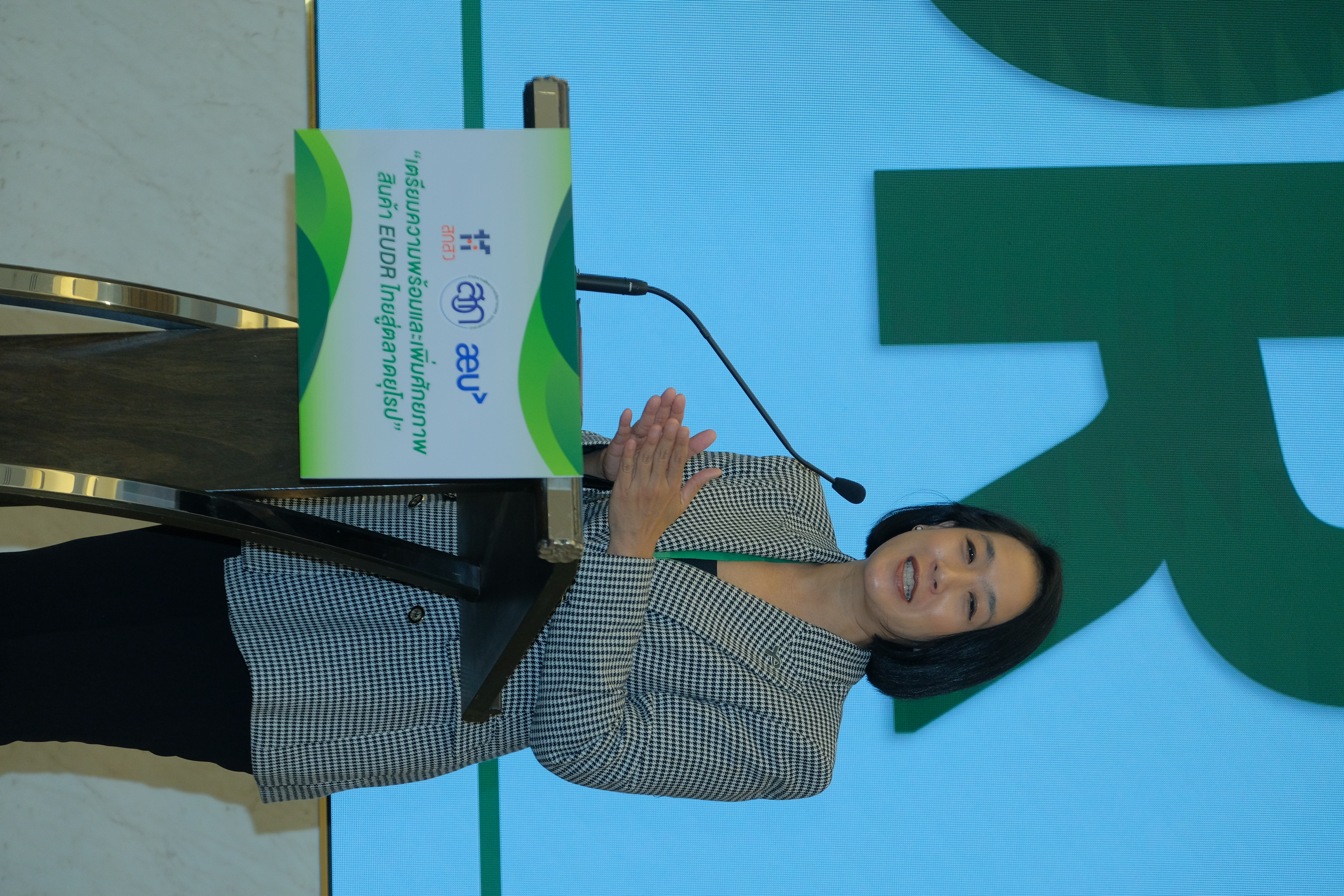 Project: Market Analysis Study for Key and High-Potential Thai Export Products to the European Union under the EU Deforestation-Free Regulation (EUDR) - 3