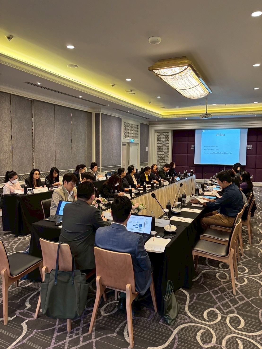 Stakeholder Consultation Meeting on Legal and Regulatory Barriers in Thailand for Exporting Products under the EU Deforestation-Free Regulation (EUDR) - 3